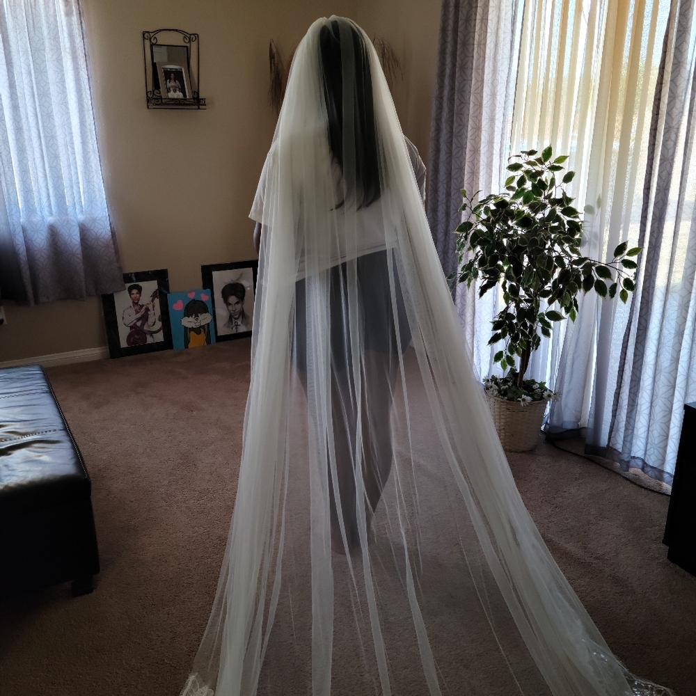 Veil 👰‍♂